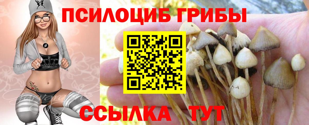 Галлюциногенные грибы Cubensis  Вход с VPN  Зима 
